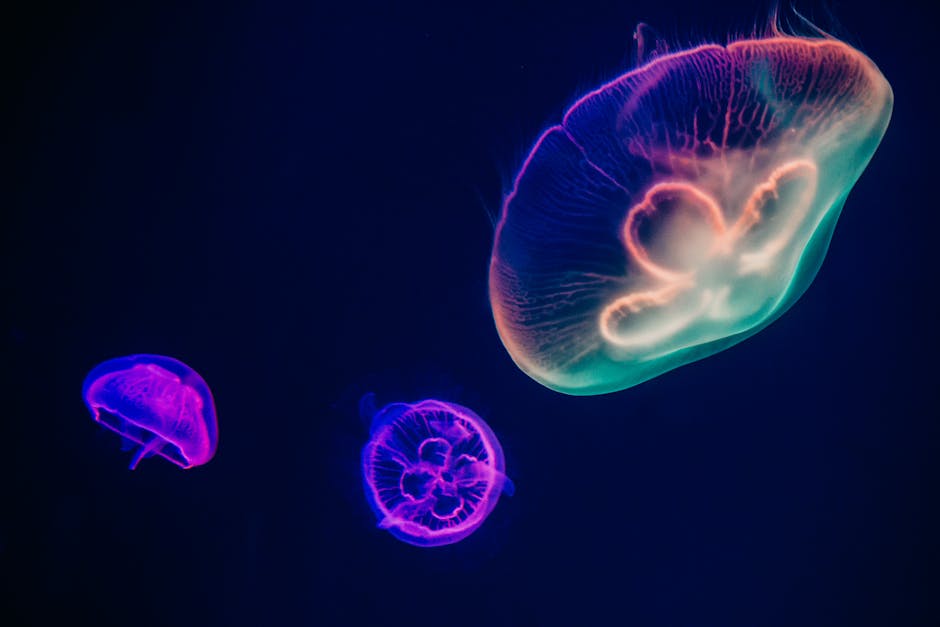 Did You Know These Ocean Creatures Glow Naturally?