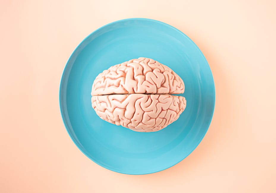 Did You Know These Brain Shortcuts Influence Decisions?