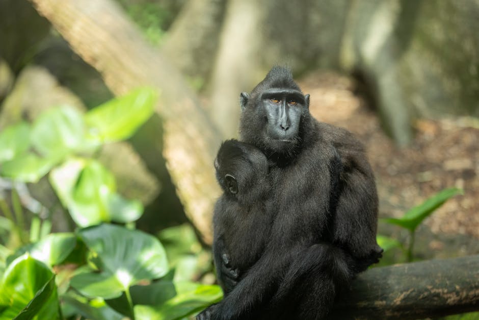 Did You Know These Celebs Have Unusual Collections?