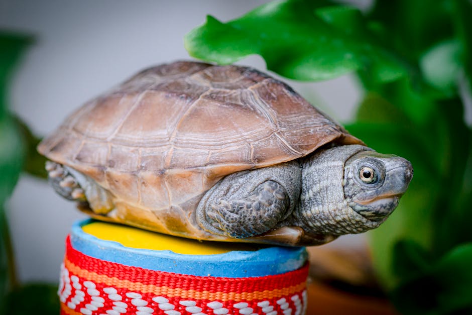 Top 10 Interesting Facts About Animation Studios