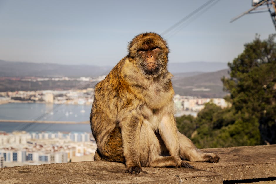 Did You Know These Famous Quotes Are Misattributed?