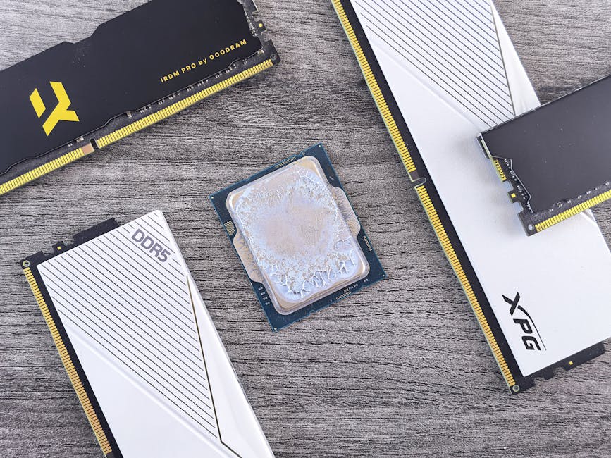 Top 10 Random Facts That Will Upgrade Your Trivia Skills