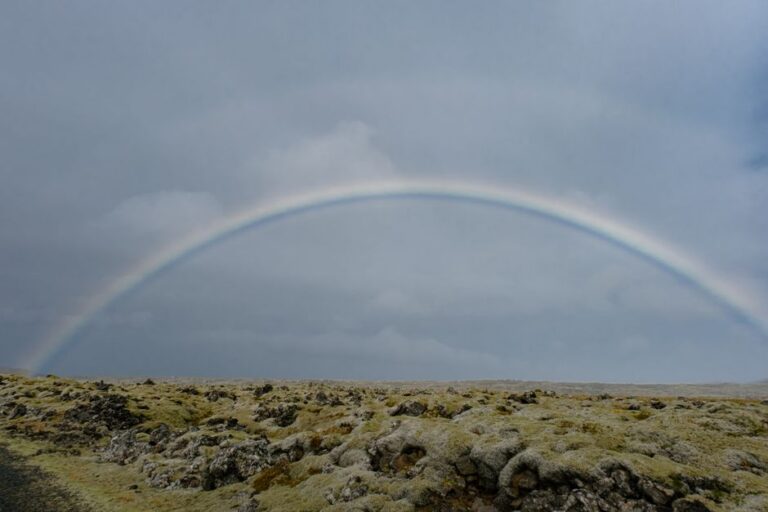 Why Rainbows Are Actually Full Circles You Never See — Nature trivia by Trivia Daily