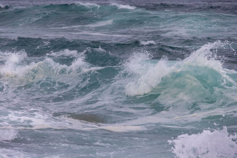 Why Ocean Water Is Salty But Lakes Are Freshwater — Science trivia by Trivia Daily