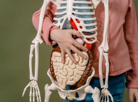 Why Do Humans Hiccup and How Does Your Body Stop Them — Human Body trivia by Trivia Daily