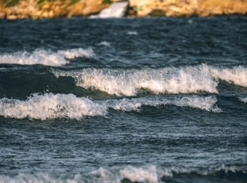 Why Humans Are the Only Animals That Cant Drink Seawater — General trivia by Trivia Daily