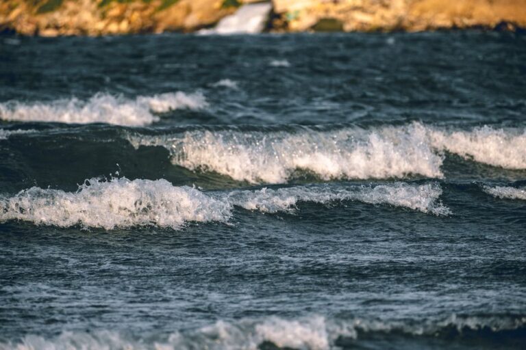 Why Humans Are the Only Animals That Cant Drink Seawater — General trivia by Trivia Daily