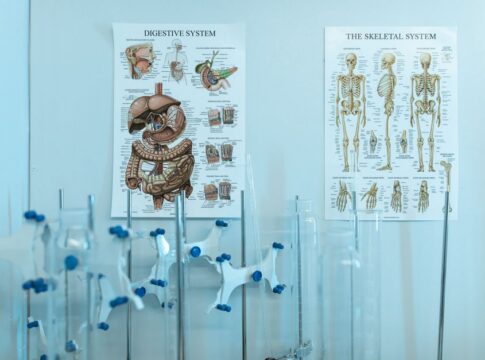 9 Fascinating Facts About the Human Immune System — Science trivia by Trivia Daily