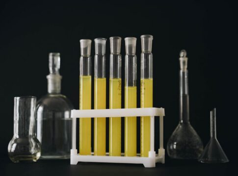 How Penicillin Was Discovered: The Accidental Experiment — Science trivia by Trivia Daily