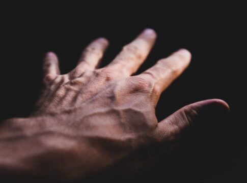 Why Human Blood Is Red But Veins Look Blue: Biology — Science trivia by Trivia Daily