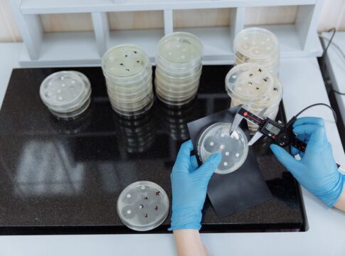 How Antibiotics Kill Bacteria: The Chemistry Explained — Science trivia by Trivia Daily