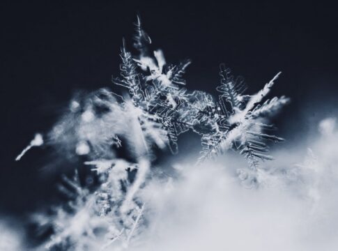 The Secret of Absolute Zero: What Happens at Coldest Temp — Science trivia by Trivia Daily