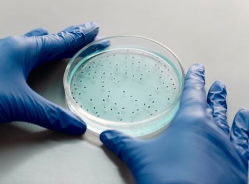 The Secret of How Antibiotics Kill Bacterial Cells — Science trivia by Trivia Daily
