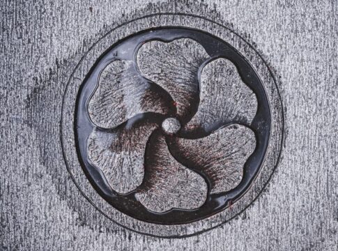 The Truth About Why Water Swirls Down Drains Clockwise — Science trivia by Trivia Daily